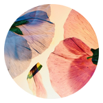 skincare-e-ciclo-mestruale